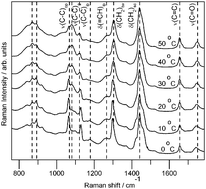 Graphical abstract: Raman spectroscopic prediction of the solid fat content of New Zealand anhydrous milk fat