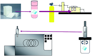 Graphical abstract: Comparison of extraction methods for the removal of volatile organic compounds (VOCs) present in sorbents used for human scent evidence collection