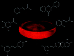 Graphical abstract: Correlation between acidic potassium permanganate chemiluminescence and in vitro cell culture assay: Physiologically meaningful antioxidant activity