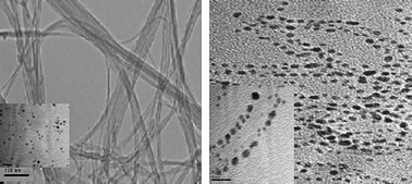 Graphical abstract: Simultaneous electrochemical detection of carcinogenic polycyclic aromatic amines in environmental samples using single-walled carbon nanotube-gold nanoparticle composite