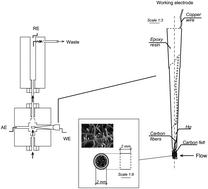 Graphical abstract: Amperometric detection at carbon felt electrodes. Application to the determination of nitro musk derivatives and phenolic endocrine disruptors