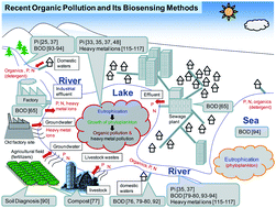 Graphical abstract: Recent organic pollution and its biosensing methods