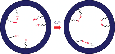 Graphical abstract: Oxidative transformation of thiol groups to disulfide bonds in mesoporous silicas: a diagnostic reaction for probing distribution of organic functional groups