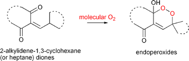 Graphical abstract: Autoxidation of 2-alkylidene-1,3-cyclohexanediones as a green process to form bicyclic hemiketal endoperoxides