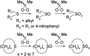 Graphical abstract: A kinetic investigation, supported by theoretical calculations, of steric and ring strain effects on the oxidation of sulfides and sulfoxides by dimethyldioxirane in acetone