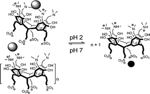 Graphical abstract: Self-assembly of an aminoalkylated resorcinarene in aqueous media: host–guest properties