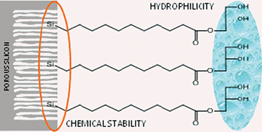 Graphical abstract: Grafting of monoglyceride molecules for the design of hydrophilic and stable porous silicon surfaces