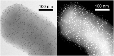 Graphical abstract: The modification of M41S materials: addition of metal clusters and nanoparticles