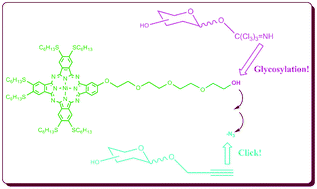 Graphical abstract: Amphiphilic carbohydrate–phthalocyanine conjugates obtained by glycosylation or by azide–alkyne click reaction