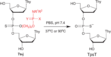 Graphical abstract: Hydroxyalkylated phosphoramidate, phosphoramidothioate and phosphorodiamidothioate derivatives as thiophosphate protecting groups in the development of thermolytic DNA prodrugs