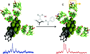 Graphical abstract: Label-free SERS detection of relevant bioanalytes on silver-coated carbon nanotubes: The case of cocaine