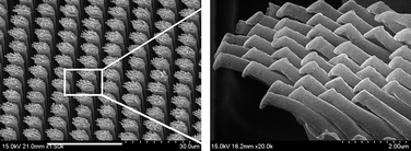 Graphical abstract: UV-assisted capillary force lithography for engineering biomimetic multiscale hierarchical structures: From lotus leaf to gecko foot hairs