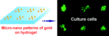 Graphical abstract: Fabrication of micropatterns of nanoarrays on a polymeric gel surface