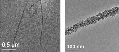 Graphical abstract: Bacterial cellulose/TiO2 hybrid nanofibers prepared by the surface hydrolysis method with molecular precision