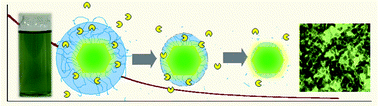 Graphical abstract: Metal sulfidenanoparticles synthesized via enzyme treatment of biopolymer stabilized nanosuspensions