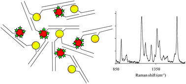Graphical abstract: Mixed metal nanoparticle assembly and the effect on surface-enhanced Raman scattering