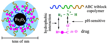 Graphical abstract: Multilayer nanoparticles with a magnetite core and a polycation inner shell as pH-responsive carriers for drug delivery