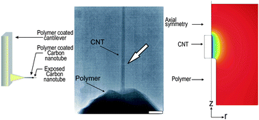 Graphical abstract: Fabrication and characterization of polymer insulated carbon nanotube modified electrochemical nanoprobes
