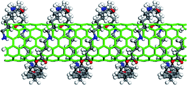 Graphical abstract: Structural and electronic properties of carbon nanotube-reinforced epoxy resins