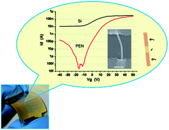 Graphical abstract: Highly end-doped silicon nanowires for field-effect transistors on flexible substrates