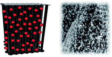 Graphical abstract: A 3D monolithic CNT block structure as a reductant, support and scavenger for nanoscopic gold, platinum and zinc oxide