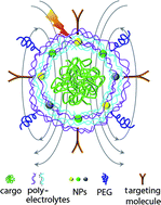 Graphical abstract: LbL multilayer capsules: recent progress and future outlook for their use in life sciences