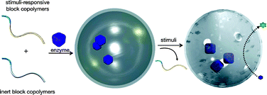 Graphical abstract: Smart nanocontainers and nanoreactors