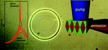 Graphical abstract: Lasing in self-assembled microcavities of CdSe/CdS core/shell colloidal quantum rods