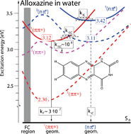 Graphical abstract: The photophysics of alloxazine: a quantum chemical investigation in vacuum and solution