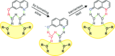 Graphical abstract: Triple proton transfer of excited 7-hydroxyquinoline along a hydrogen-bonded water chain in ethers: secondary solvent effect on the reaction rate