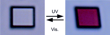 Graphical abstract: Photoinduced shape changes of diarylethene single crystals: correlation between shape changes and molecular packing