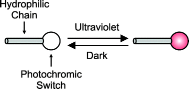 Graphical abstract: Hydrophilic and photochromic switches based on the opening and closing of [1,3]oxazine rings