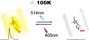 Graphical abstract: Low-temperature switching by photoinduced protonation in photochromic fluorescent proteins