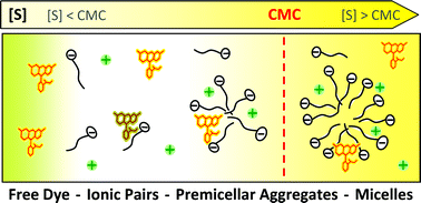 Graphical abstract: Role of electrostatic and hydrophobic forces in the interaction of ionic dyes with charged micelles