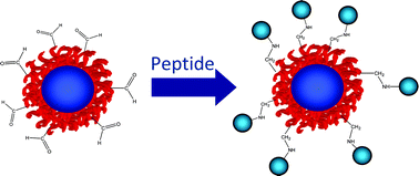 Graphical abstract: Micelles with surface conjugated RGDpeptide and crosslinked polyurea core viaRAFT polymerization