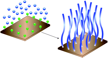 Graphical abstract: Polymer brushes: Applications in biomaterials and nanotechnology