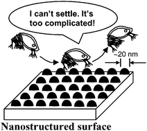 Graphical abstract: Barnacle repellent nanostructured surfaces formed by the self-assembly of amphiphilic block copolymers