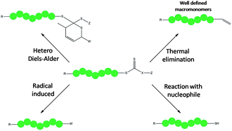 Graphical abstract: End group removal and modification of RAFT polymers