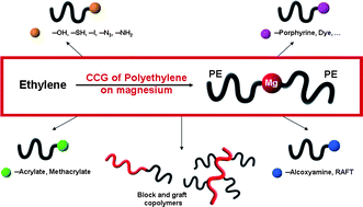 Graphical abstract: Catalyzed chain growth (CCG) on a main group metal: an efficient tool to functionalize polyethylene