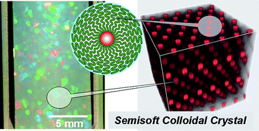 Graphical abstract: Colloidal crystals formed by polymer brush-afforded fine particles