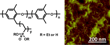 Graphical abstract: Grafting poly(phenylene oxide) with poly(vinylphosphonic acid) for fuel cell membranes