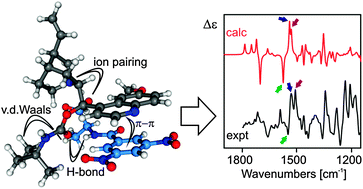 Graphical abstract: Enantioselective interaction of carbamoylated quinine and (S)-3,5-dinitrobenzoyl alanine: theoretical and experimental circular dichroism study