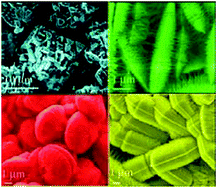 Graphical abstract: An unusual zinc substrate-induced self-construction route to various hierarchical architectures of hydrated tungsten oxide