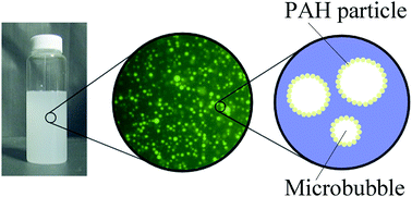 Graphical abstract: Fabrication of hollow poly-allylamine hydrochloride/poly-sodium styrene sulfonate microcapsules from microbubble templates