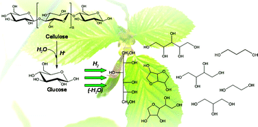 Graphical abstract: Hydrogenolysis of cellulose combining mineral acids and hydrogenation catalysts