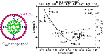 Graphical abstract: Interaction between single-wall carbon nanotubes and encapsulated C60 probed by resonance Raman spectroscopy