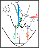 Graphical abstract: Femtosecond time-resolved photophysics and photodissociation dynamics of 1-iodonaphthalene