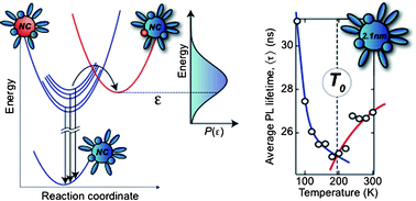 Graphical abstract: On the use of time-resolved photoluminescence as a probe of nanocrystal photoexcitation dynamics