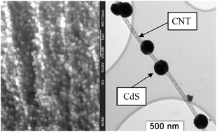 Graphical abstract: Growth of CdS nanoparticles on the aligned carbon nanotubes