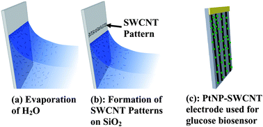 Graphical abstract: Electrochemical deposition of Pt nanoparticles on carbon nanotube patterns for glucose detection